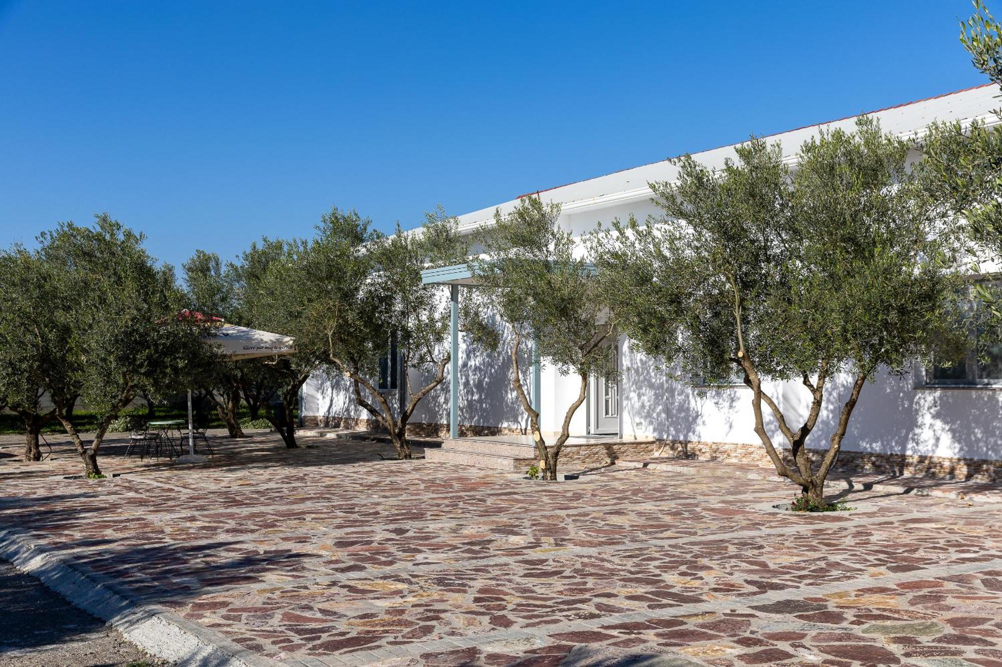 Hotel Paradise Σκόδρα Εξωτερικό φωτογραφία